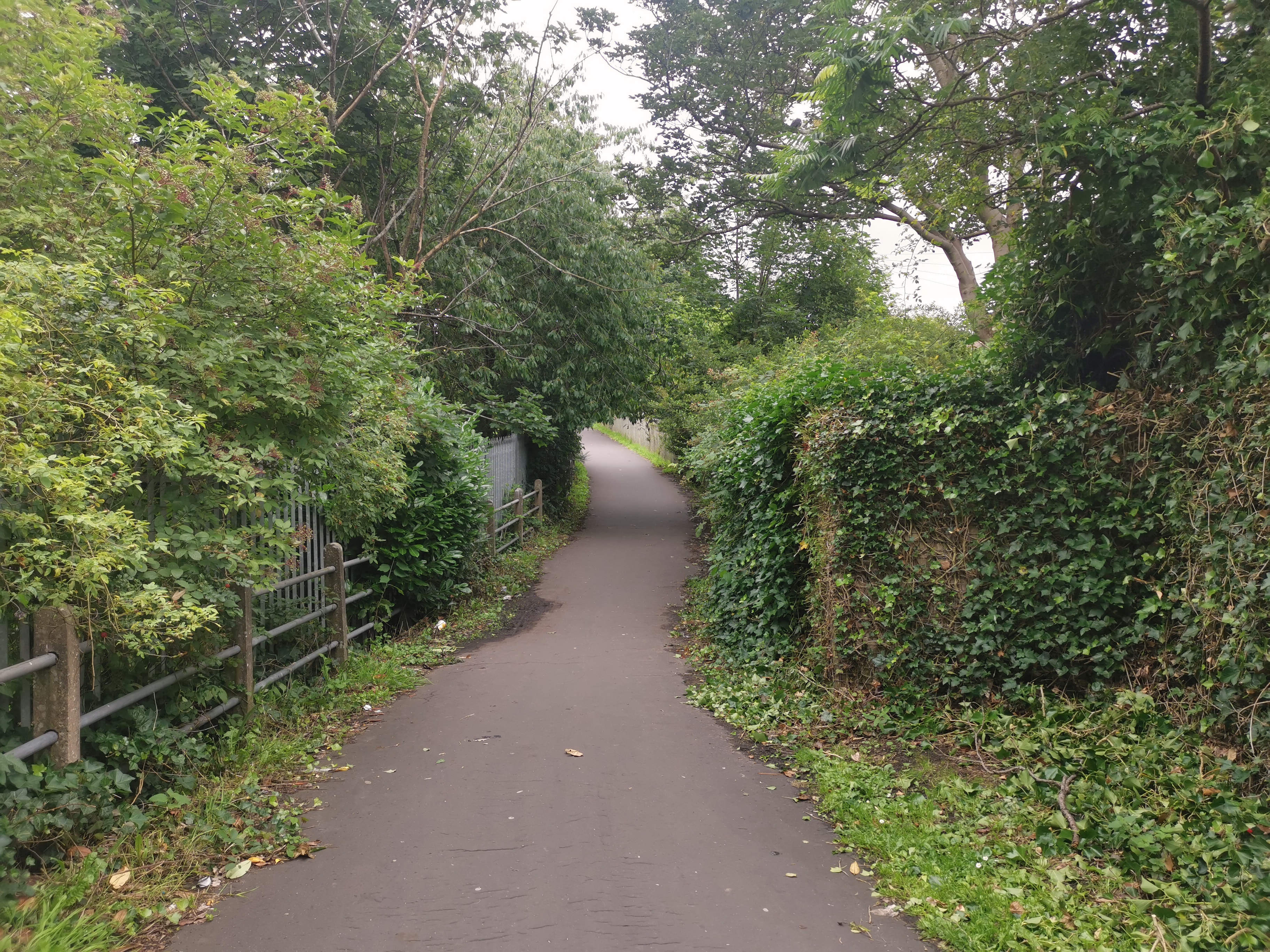 Narrow path approaching the bridge with overhanging vegetation and poor sight lines