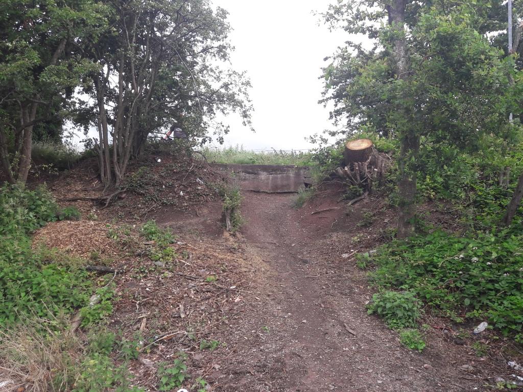 Worn footpath from the Caledonian down a steep bank