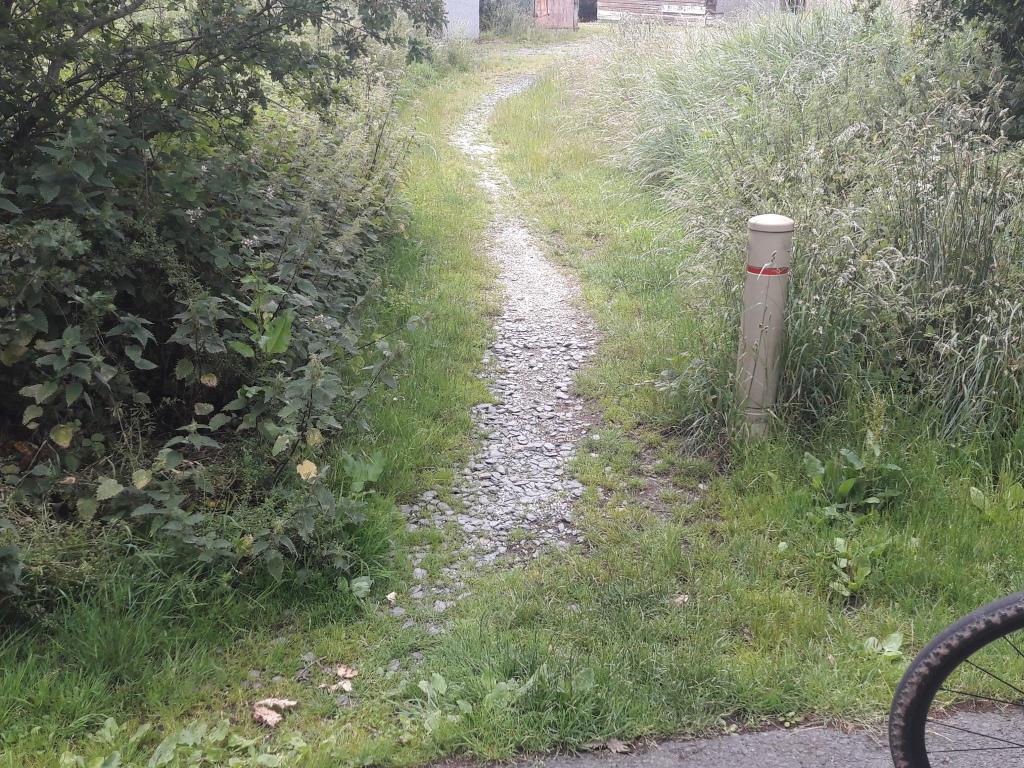 Informal gravel footpath